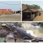 3 Rekomendasi Tempat Wisata di Wilayah Pantai Utara Subang