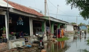 Aktifitas Warga di Dua Desa Wilayah Kecamatan Blanakan Sempat Terganggu Akibat Banjir Rob