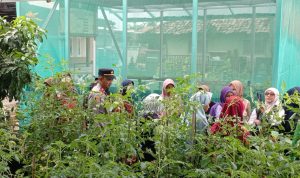 Kapolsek Blanakan Menggerakan dan  Dampingi KWT Subur Makmur Dalam Upaya Dukung Program Ketahanan Pangan