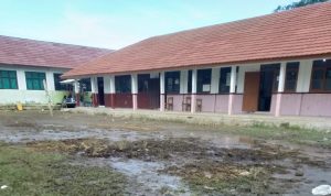 SD Negeri Kertamukti ll Kecamatan Cilebar Butuh Perhatian Disdikpora Karawang!