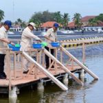 Presiden Prabowo Subianto Tinjau Kawasan BLUPPB Karawang