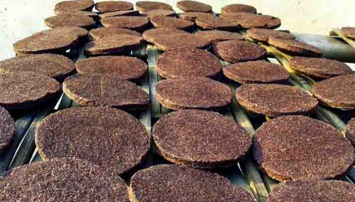 Karawang Miliki Daerah Penghasil Terasi Tradisional Khas!