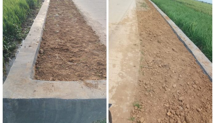 Pekerjaan Turap Jalan oleh CV. Segara Arta Sudah Rampung dan Dapat Apresiasi Warga Cibuaya