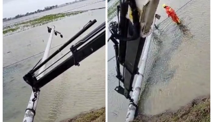 Tiang Listrik TM di Pebayuran Roboh ke Lahan Persawahan