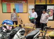 Polsek Blanakan Gerebek Arena Judi Sabung Ayam Cilamaya Girang