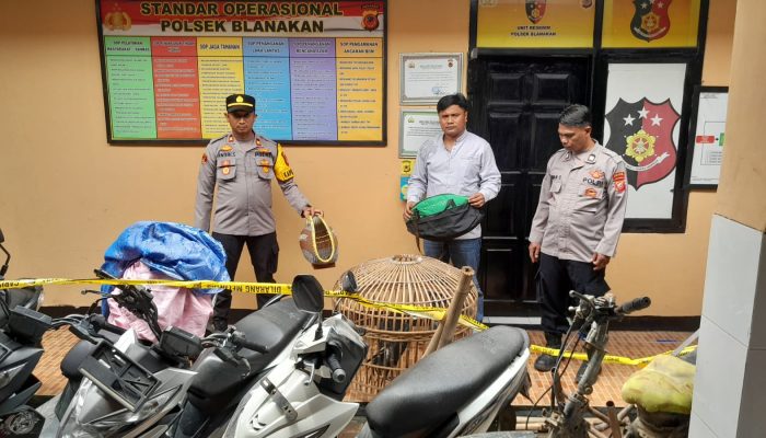 Polsek Blanakan Gerebek Arena Judi Sabung Ayam Cilamaya Girang