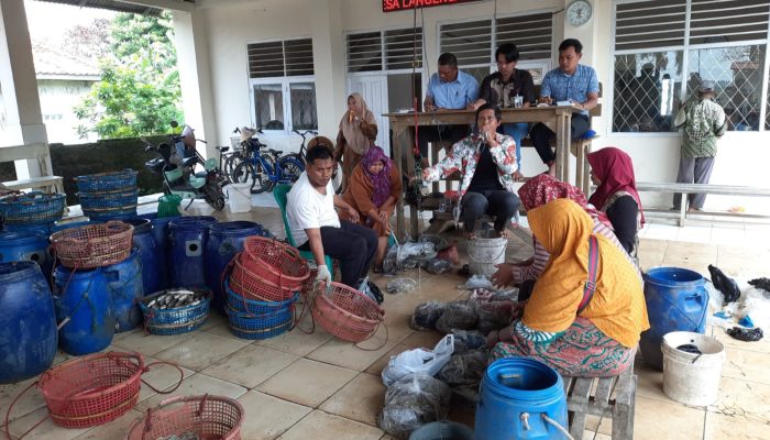 Produksi Tambak ke TPI Anjlok Hingga 60%, Harga Ikan dan Udang Alami Kenaikan