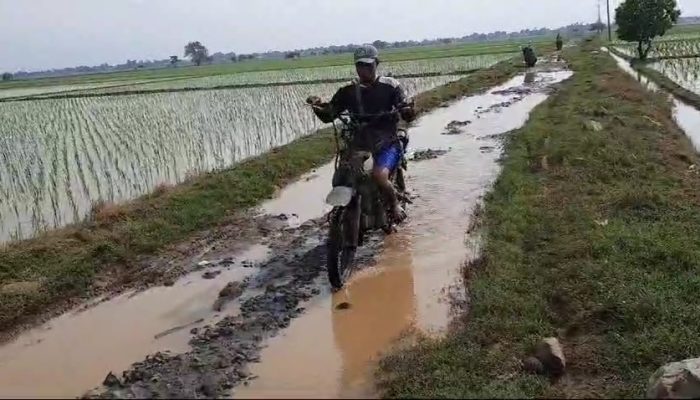 Sekitar 10 Tahun Jalan Produksi Sektor Pertanian, Tambak dan Perikanan Laut Rusak Parah