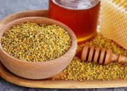 Lebah Madu Selain Hasilkan Madu Juga Bee Pollen yang Kaya Manfaat!