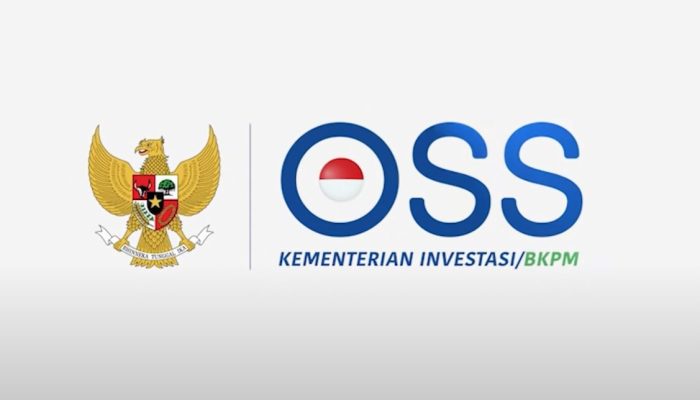 Bagaimana Panduan Pendaftaran NIB untuk UMKM? Simak penjelasannya!