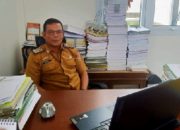 Soal Jalan Rusak Ini Kata Pj Kepalo Tiyuh Karta