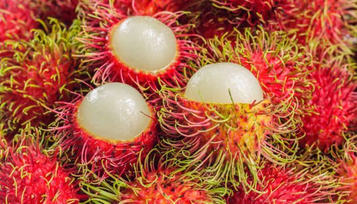 Jenis Rambutan dan Daerah Penghasil Rambutan di Indonesia