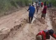 Tak Kunjung Diperbaiki, Warga Mulai Bercocok Tanam pada Badan Jalan Rusak di Mesuji