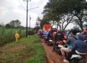 Terjadi Kemacetan Hingga 2 Km Akibat Pohon Tumbang di Jalan Sukamandi-Purwadadi