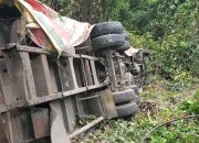 Sebuah truk Pengangkut Sirup tabrak Pohon, Supir Tewas di Lokasi Wilayah Hutan Konservasi