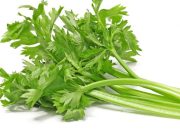Manfaat Seledri Selain Sebagai Penyedap Masakan