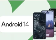 Android 14: Fitur, Peningkatan, dan Bocoran Android 15
