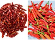 Mengapa Cabai Kering Cenderung Lebih Pedas daripada Cabai Segar?