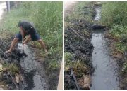 Membangun Kesadaran Lingkungan dari Keluarga dan Lingkungan Sekitar Rumah
