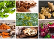 Tanaman Herbal Pembersih Darah: Solusi Alami untuk Detoksifikasi Tubuh