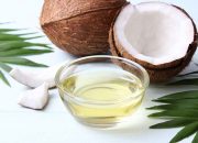 Minyak Klentik Kelapa: Tradisi dan Manfaatnya