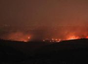 Kebakaran Hutan Besar Melanda Wilayahnya, Pemerintah Israel Tetapkan Darurat Nasional