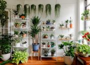 Manfaat Merawat Tanaman di Rumah Saat Liburan Akhir Pekan untuk Mengurangi Stres