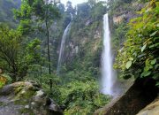 Curug Cileat: Permata Tersembunyi di Jantung Subang yang Menantang dan Menyegarkan