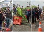 Warga Balonggandu Tanam Pohon Pisang di Jalan Nasional Pantura, Desak Perbaikan Segera