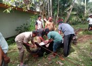 Masyarakat Gampong Ladang Terima Bantuan Hewan Qurban dari PT Mifa Bersaudara