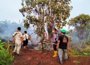 Petugas Gabungan Berhasil Padamkan Karhutla di Rokan Hulu