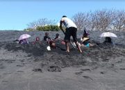 Realita Pahit Pantai Kerakat: Dikelola Orang Luar, Pohgading Timur yang Disalahkan