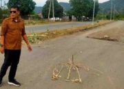 Mangkrak 4 Tahun, Proyek Jalan Raya Poto Tano KSB Akhirnya Dikerjakan Tahun Ini