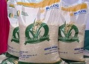 Bantuan Beras 10 Kg untuk Juni–Juli 2025 Mulai Disalurkan, 18 Juta Warga Terima Sekaligus 20 Kg