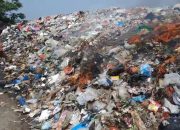 Sampah Menggunung di TPS Ciasem Baru: Tukang Rongsok Peduli, Perhatian Pemerintah Dinanti
