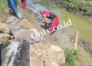 Proyek TPT di Desa Pangkalan Diduga Abaikan UU KIP dan K3, Sumber Dana Aspirasi Dewan Fraksi PDI-P Dapil IV