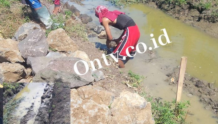 Proyek TPT di Desa Pangkalan Diduga Abaikan UU KIP dan K3, Sumber Dana Aspirasi Dewan Fraksi PDI-P Dapil IV