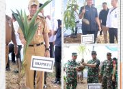 Pemkab Lampung Utara Dukung Program Nasional Penanaman Kelapa untuk Lingkungan dan Ketahanan Pangan