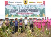 20 Ton Jagung Dipanen, Bupati Fery Sahputra Serukan Kolaborasi Dukung Ketahanan Pangan Nasional