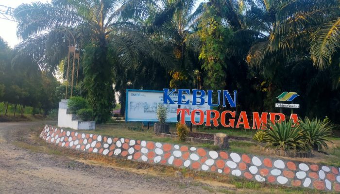 Mutasi Karyawan PTPN IV Torgamba Menuai Polemik, SMT Minta Keadilan