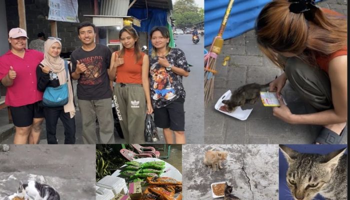 Banua Cat Lovers Konsisten Beri Makan Kucing Jalanan, Aksi Sosial yang Patut Dicontoh