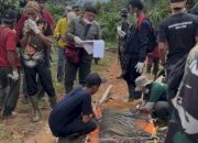 Harimau Sumatera Tertangkap di Batu Brak, BKSDA Lampung Bengkulu Lakukan Pemeriksaan Menyeluruh