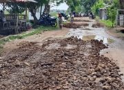 Jalan Kabupaten di Desa Langensari Akhirnya Dibeton Setelah Puluhan Tahun Dinanti Warga