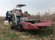 Polsek Cipeundeuy Gelar Panen Raya Jagung, Dukung Program Swasembada Pangan Nasional 2026