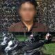 Pelaku Pencurian Motor di Tubaba Ditangkap Satreskrim