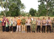 Polres Lampung Utara Hadiri Panen Raya Jagung Serentak di Abung Timur