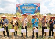 Panen Raya Jagung Serentak 2026, Polres Tulang Bawang Dukung Ketahanan Pangan