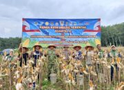Polres Tubaba Dukung Ketahanan Pangan Lewat Panen Raya Jagung di Tumijajar