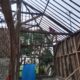 Masyarakat Dukuh Tengah Bergotong Royong Bongkar Rumah Lansia