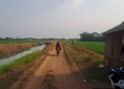 Jalan Rusak, Ketahanan Pangan Dipertaruhkan: Gotong Royong Warga Menutupi Kelalaian Pemerintah